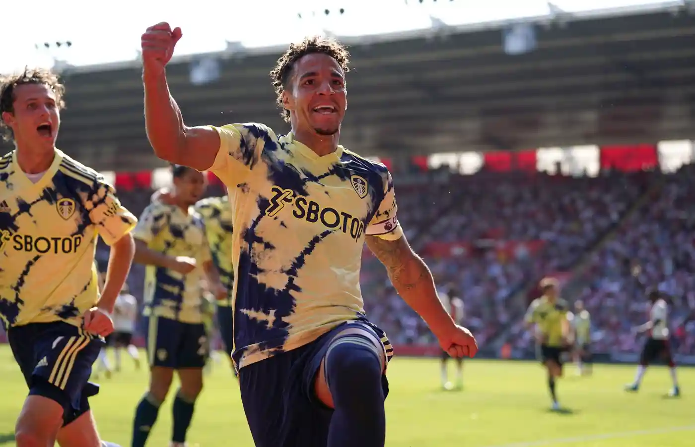 วิธีดูราคาบอลไหลหลอก